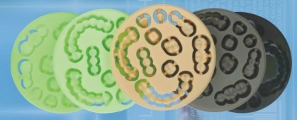 Стоматологические материалы Yucera PMMA (диски из смолы) Блок дисков из диоксида циркония для превосходных эстетических реставраций